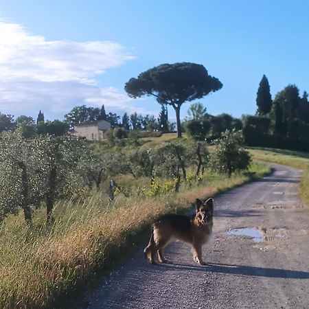 Apartmán Casale La Giara Sorrezzana Exteriér fotografie